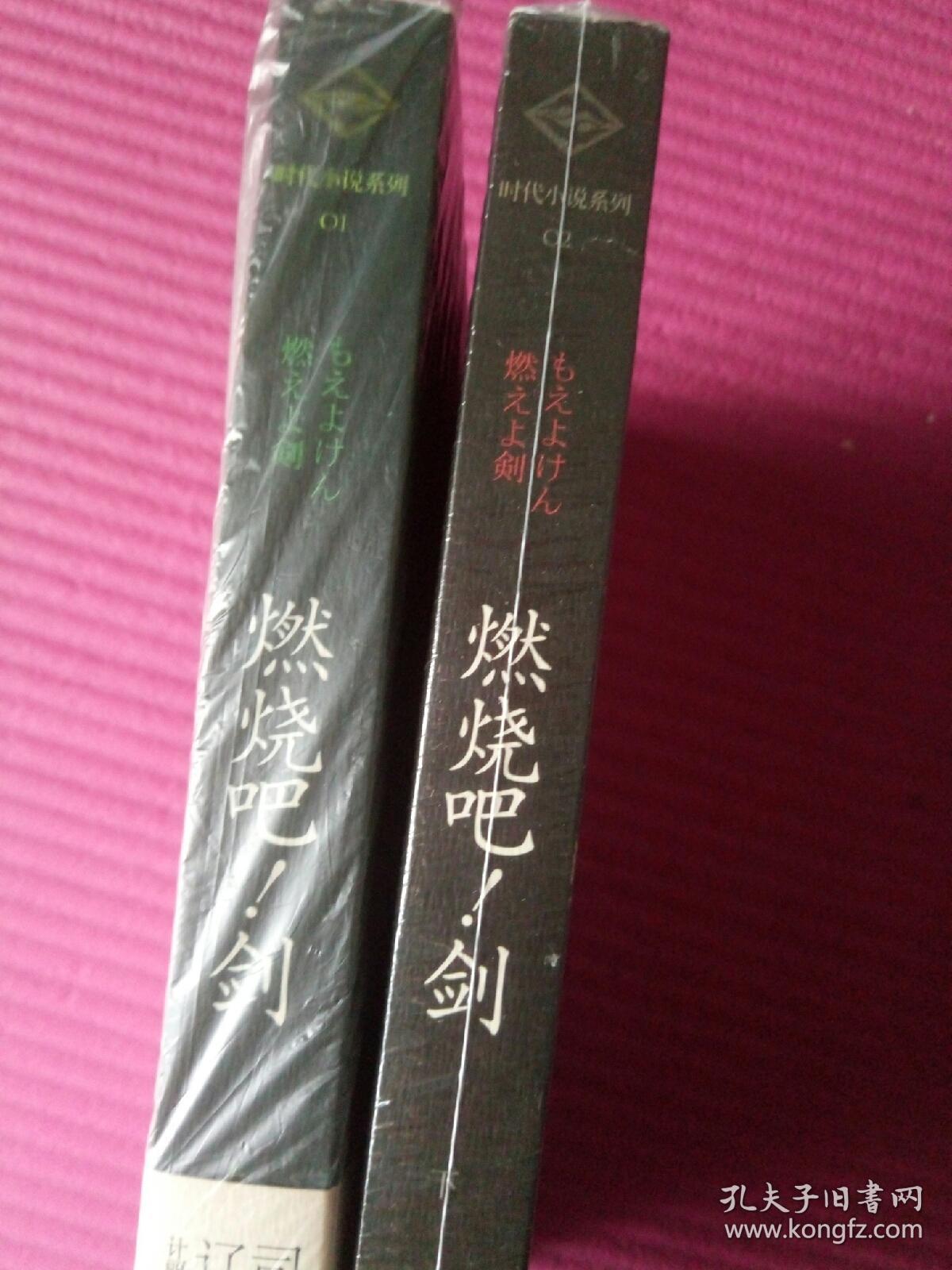 燃烧吧,剑,上下一套