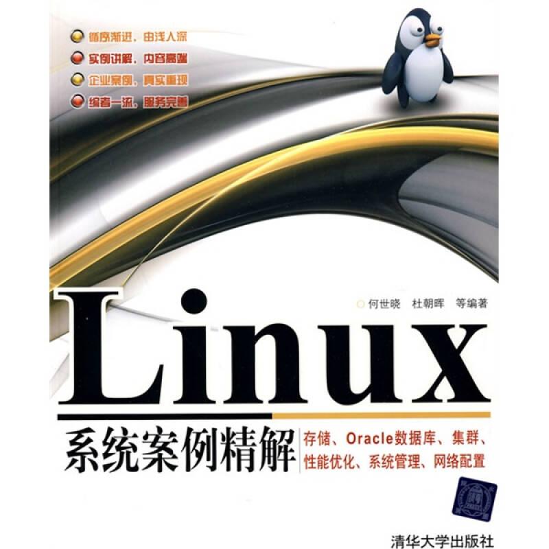 Linux系统案例精解：存储、Oracle数据库、集群、性能优化、系统管理、网络配置