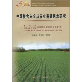中国粮食安全与农业高效用水研究、