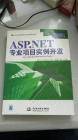 ASP.NET专业项目实例开发