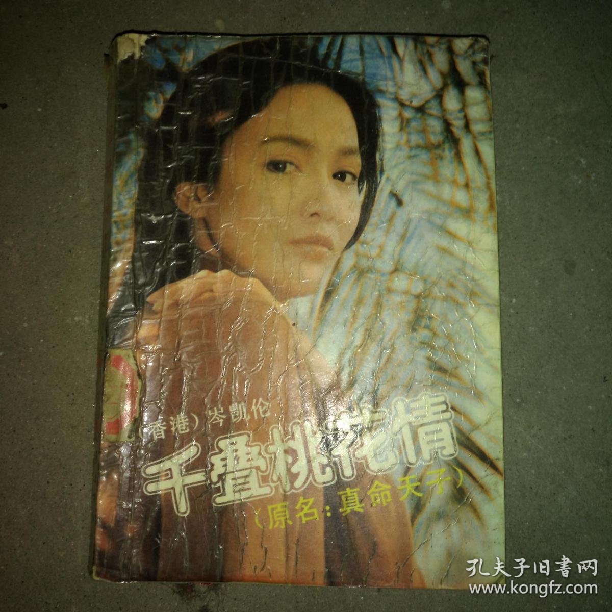 千叠桃花情 岑凯伦