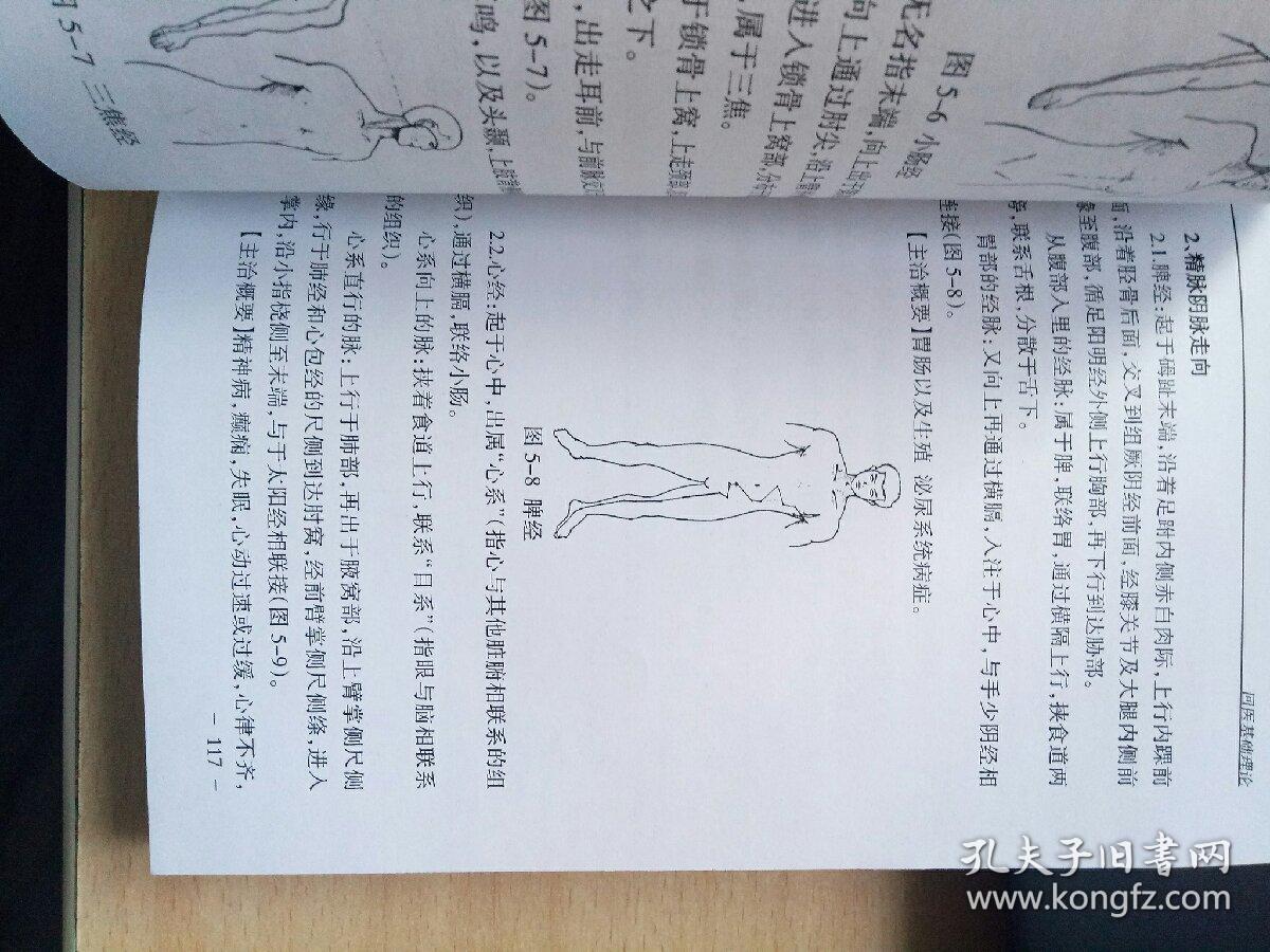 宁夏医科大学附属回医中医医院回医基本理论_牛阳_孔夫子旧书网