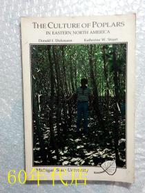 the culture of poplars