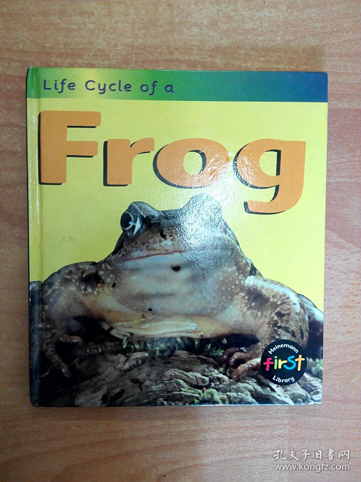儿童英文原版读物froglifecycleofa青蛙20开精装