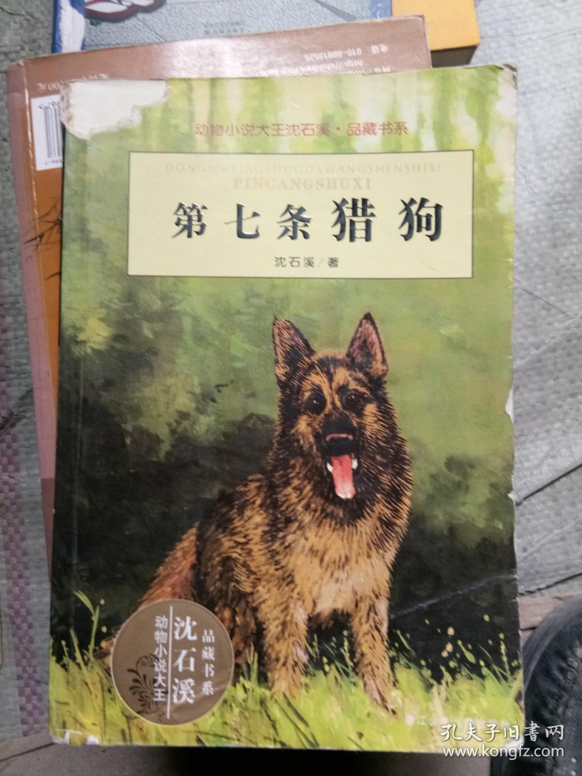 第七条猎狗