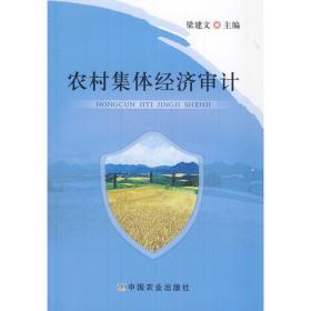 农村集体经济审计（