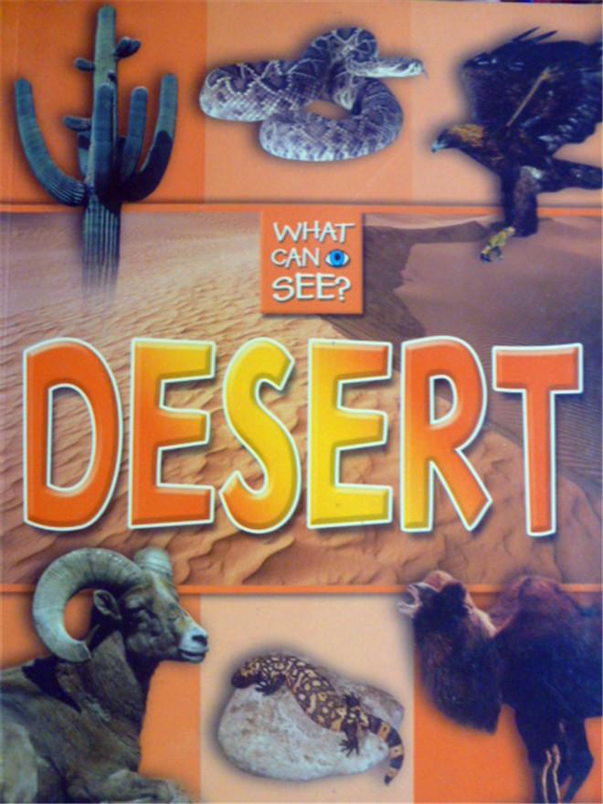英文原版   少儿绘本   what can I see: Desert      沙漠