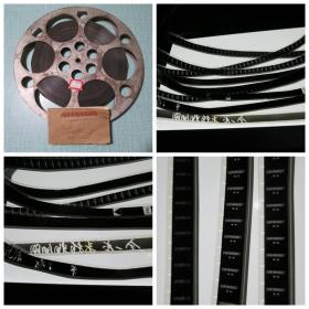 植物细胞分裂 1964年黑白16毫米科教电影胶片拷贝 全原护 挑伤严重 无铁箱