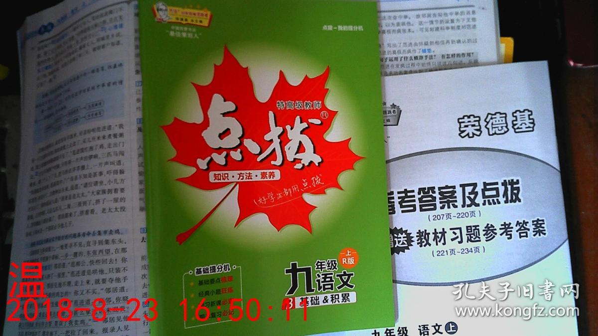 特高级教师点拨 九年级 语文 上 r版