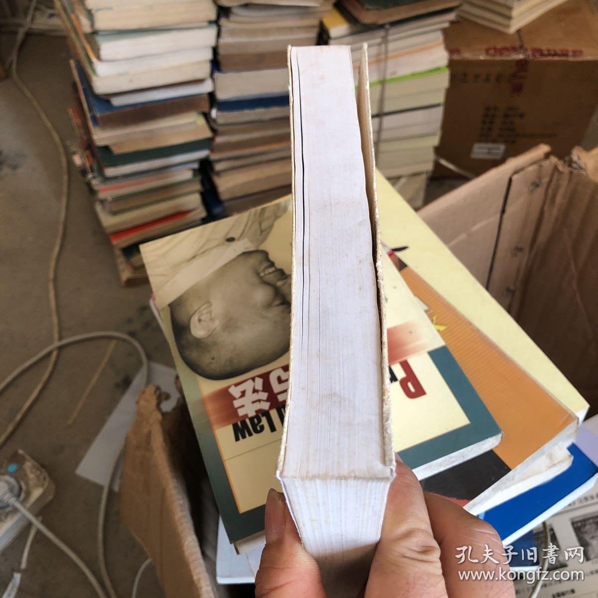 中西文化碰撞与近代文学