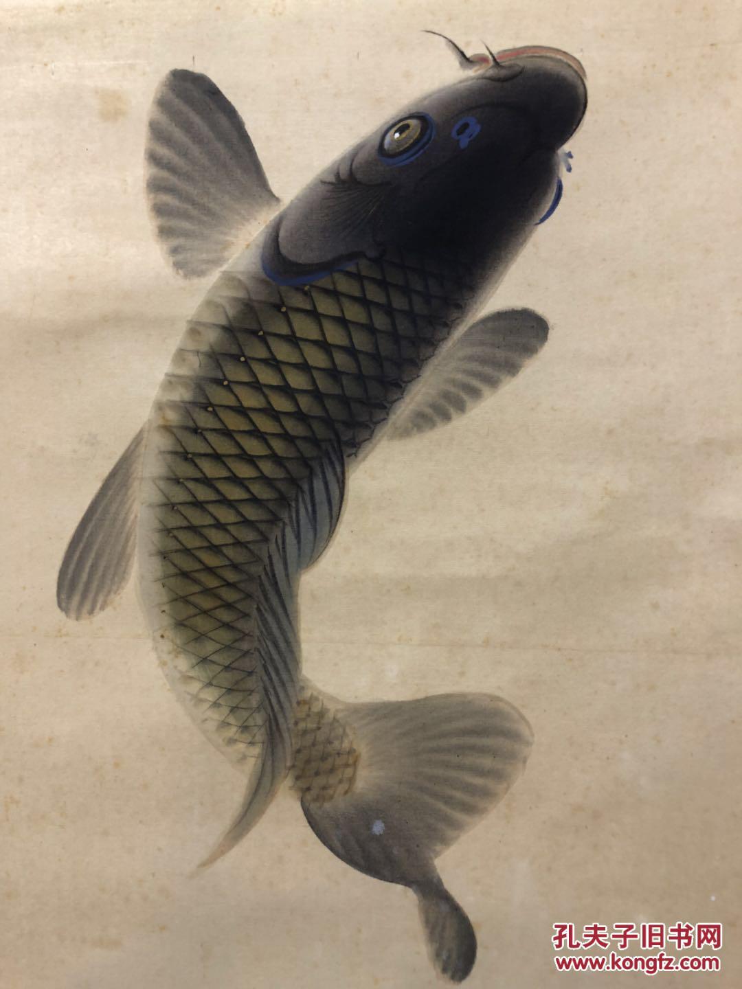 挂轴 园泉铭 『跳鲤図』 绢本肉笔 彩色花鸟画 日本画 プラ轴