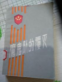 魔鬼队的覆灭（打击刑事犯罪的真人真事案例）