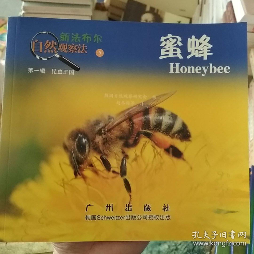 新法布尔自然观察法丛书 第1辑昆虫王国3 蜜蜂 孔夫子旧书网 新法布尔自然观察法丛书 第1辑昆虫王国3 蜜蜂 孔夫子旧书网
