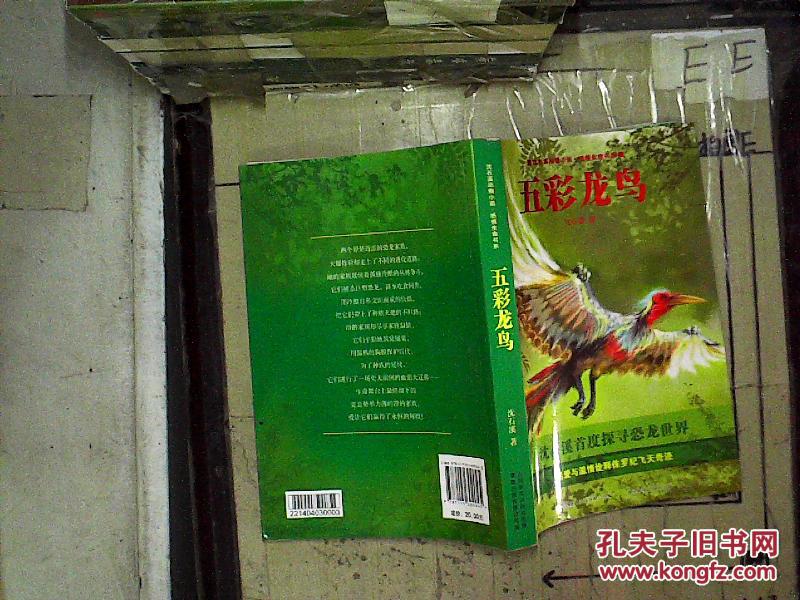 沈石溪动物小说·感悟生命书系:五彩龙鸟