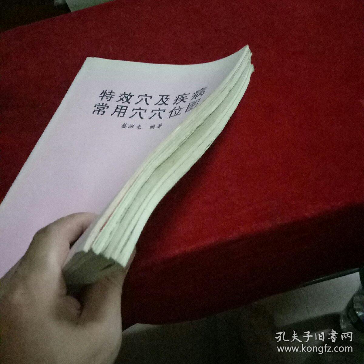 蔡洪光中医类:实用经络点穴疗法(上下册,经络穴位健康长寿法,中国