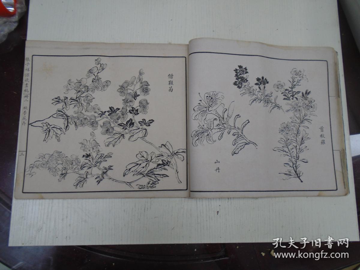 民国《张子祥课徒画稿》册二(夏季花卉:石榴花,栀子花,玉簪花,萱花