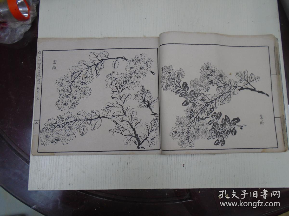 民国《张子祥课徒画稿》册二(夏季花卉:石榴花,栀子花,玉簪花,萱花