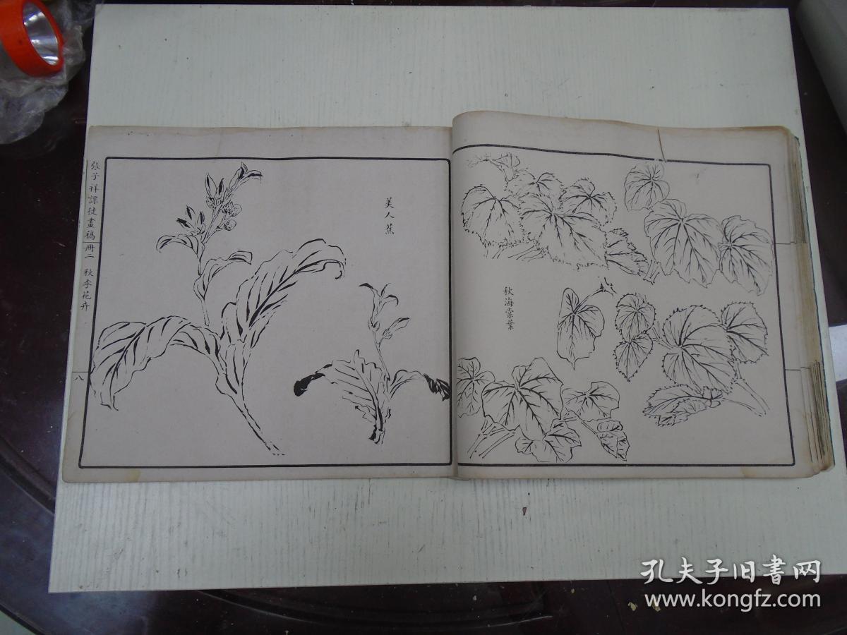 民国《张子祥课徒画稿》册二(夏季花卉:石榴花,栀子花,玉簪花,萱花
