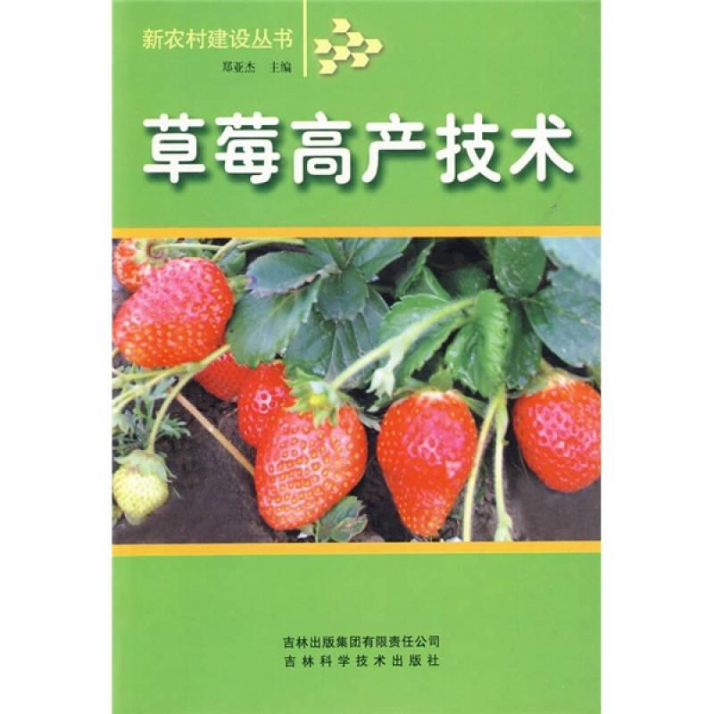新农村建设丛书：草莓高产技术