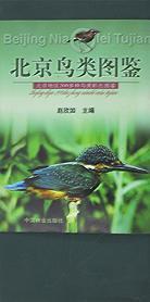 北京鸟类图鉴