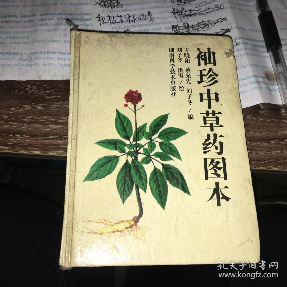 袖珍中草药图本 精装本_方晓阳等/编 刘子冬 洪霞/绘_孔夫子旧书网
