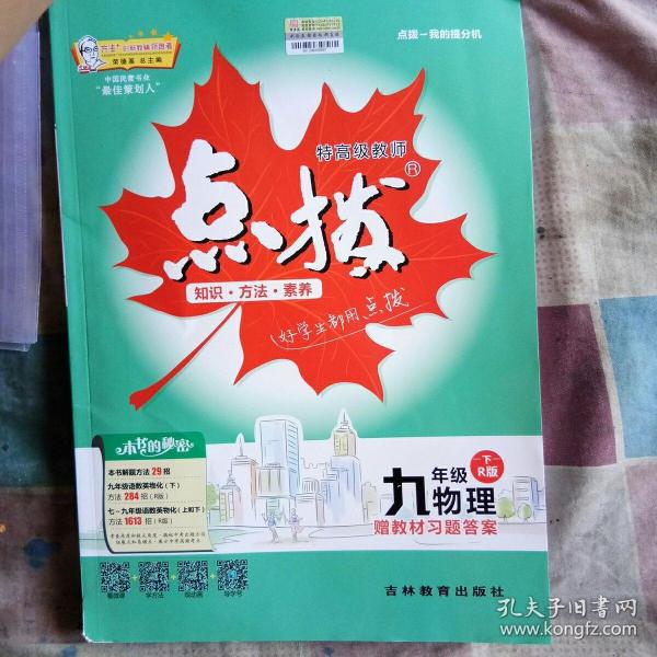 荣德基初中系列·特高级教师点拨:物理(九年级下 r版)