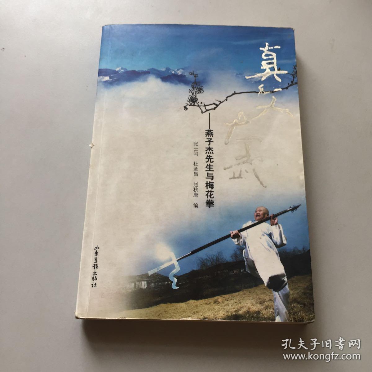 真文大武-燕子杰先生与梅花拳