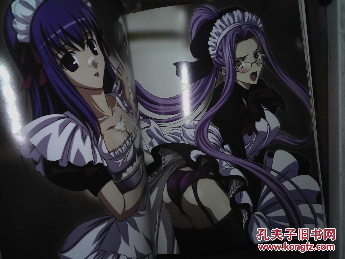 fate zero 豪华珍藏版画集