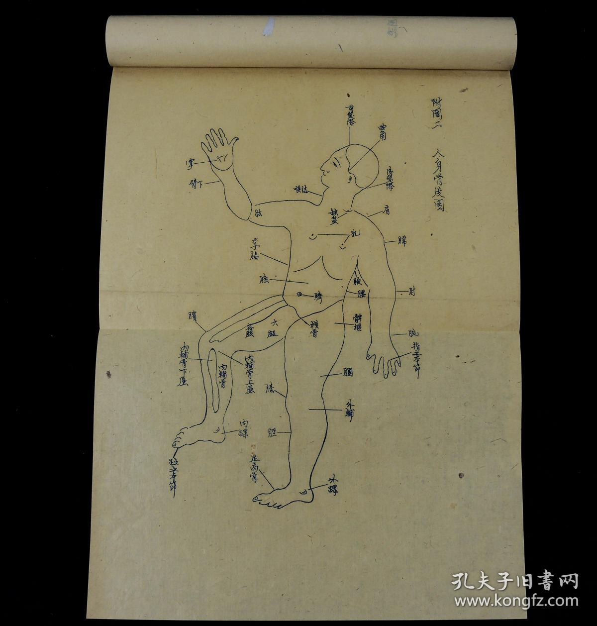 民国未出版蓝色油印本【南昌中医药学会针灸研究会讲义