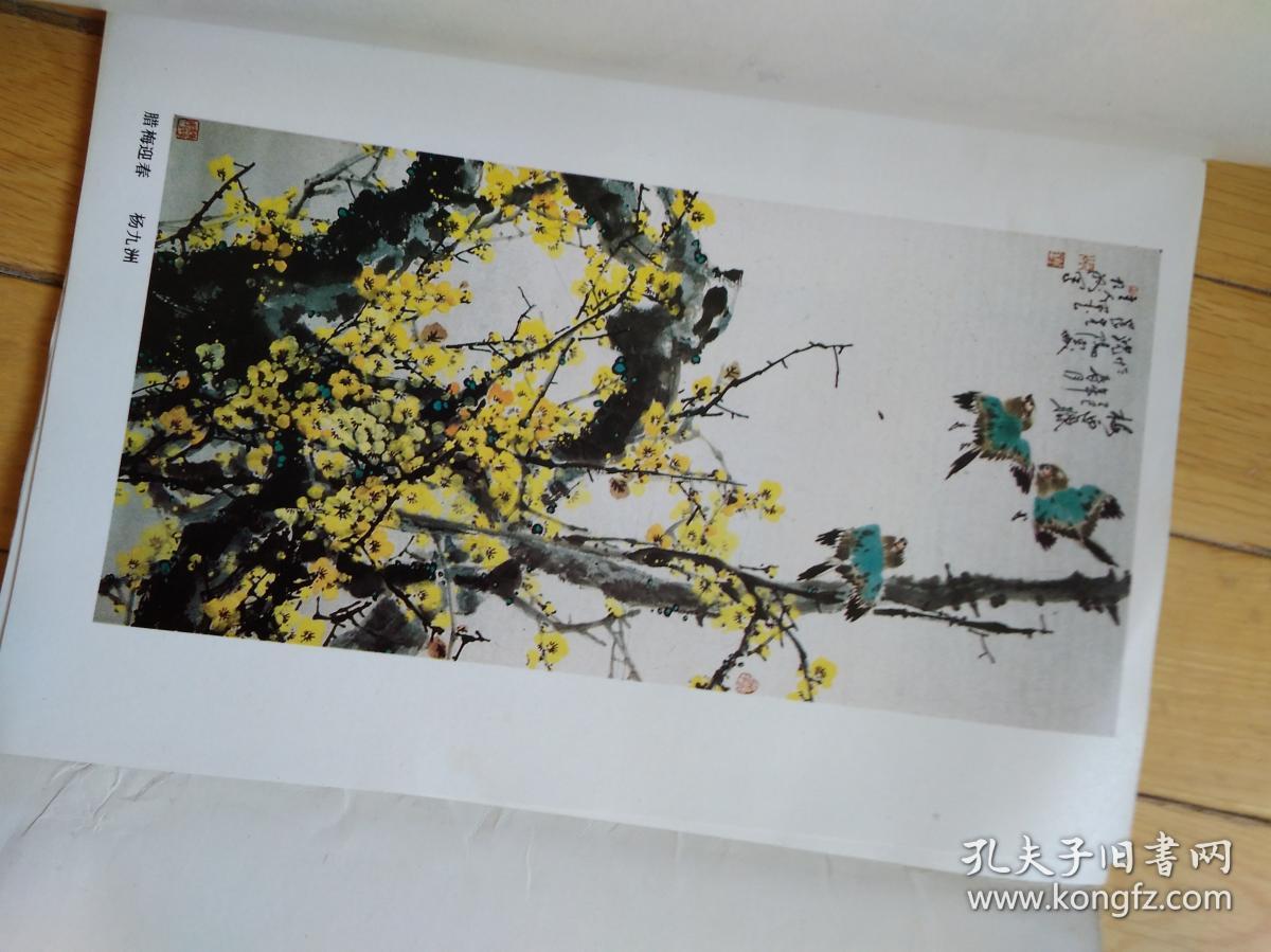 杨九洲花鸟画选集20张全散页装16开