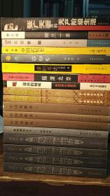 蓝星诗库 金版 海子的诗（精装）