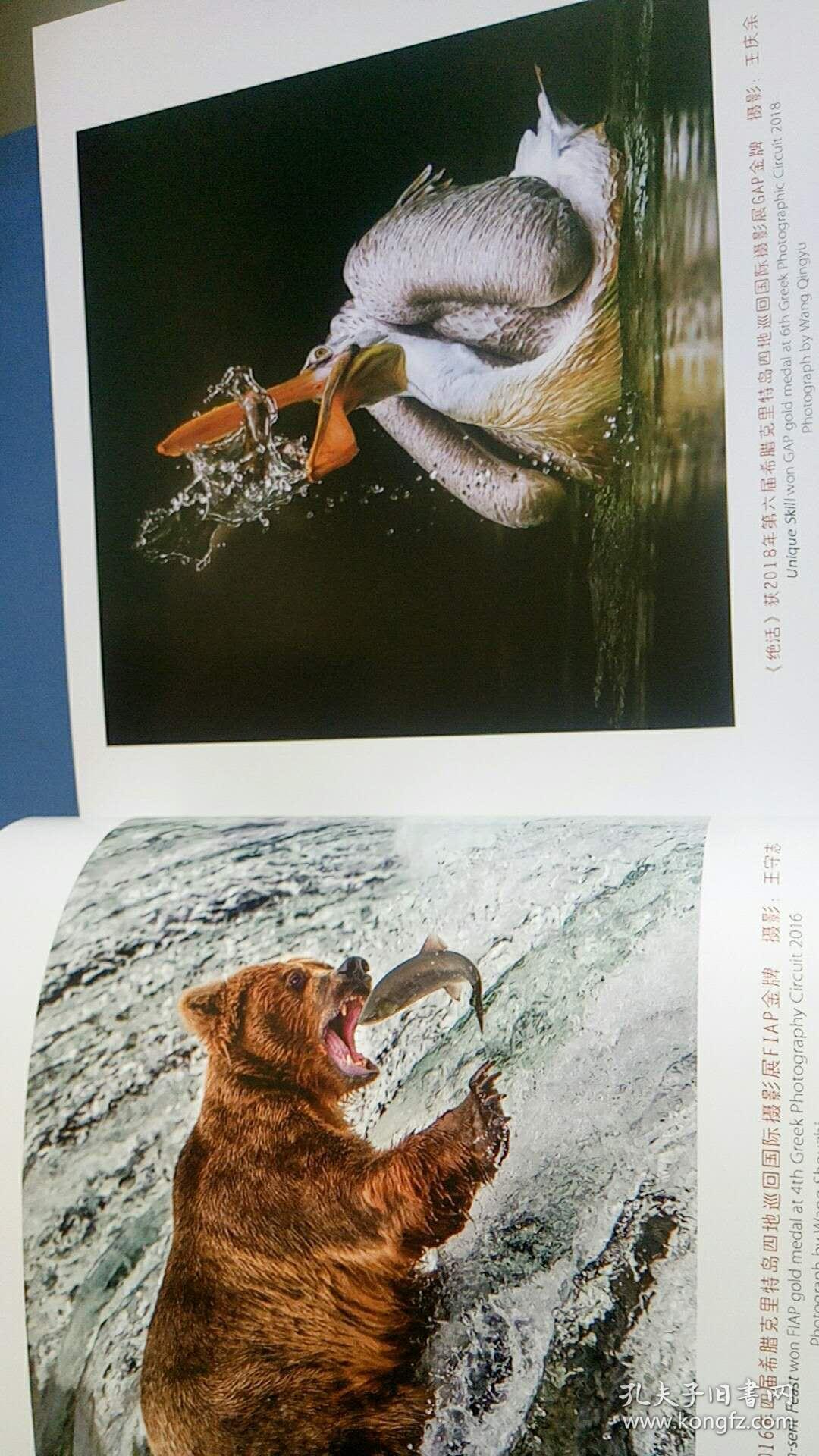 尚图坊十周年优秀作品选