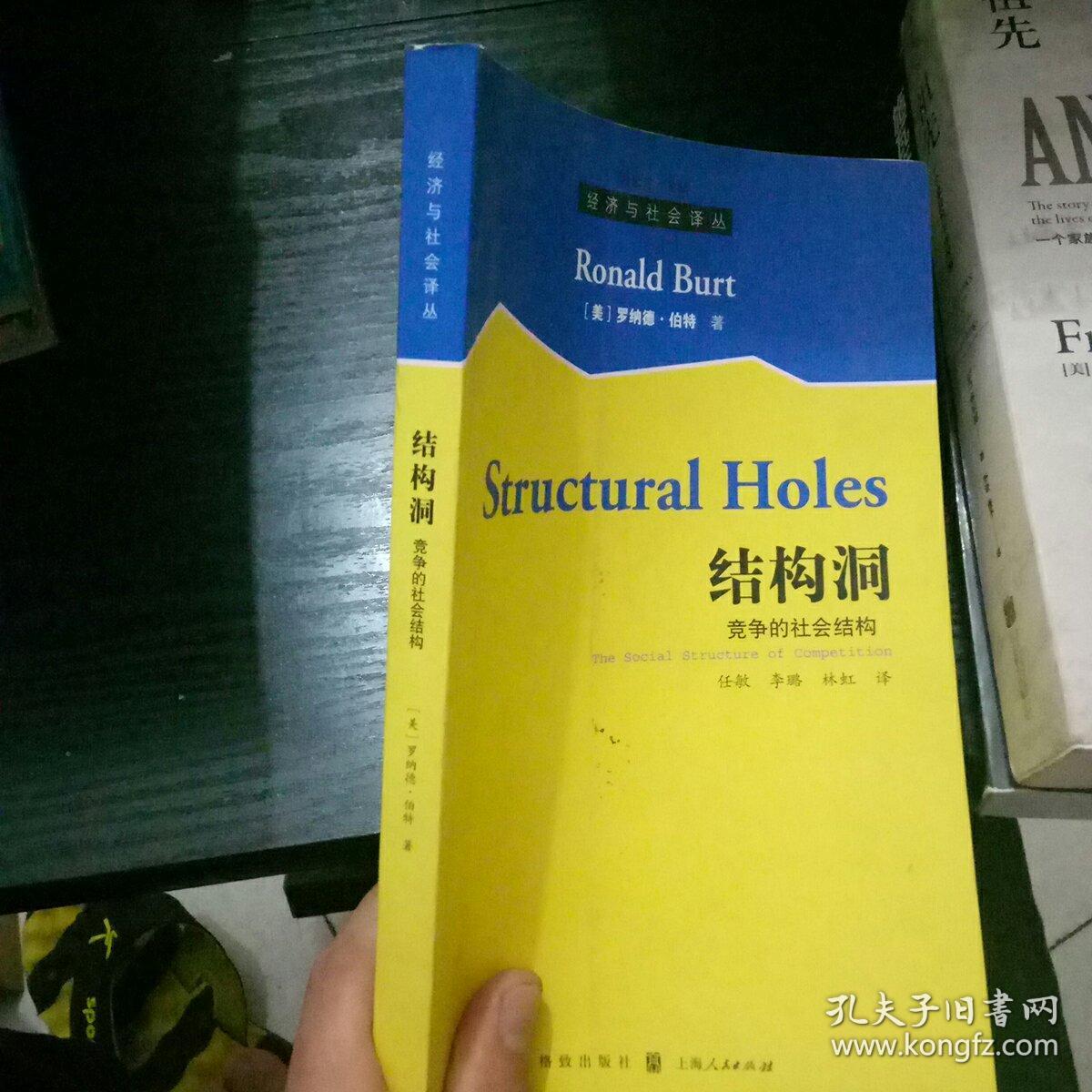 结构洞:竞争的社会结构(正版 现货 当天发货 内页整