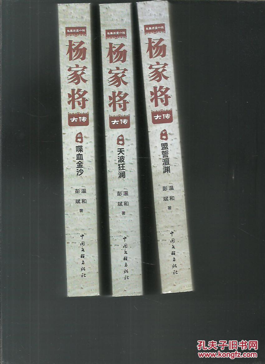 杨家将大传 上中下