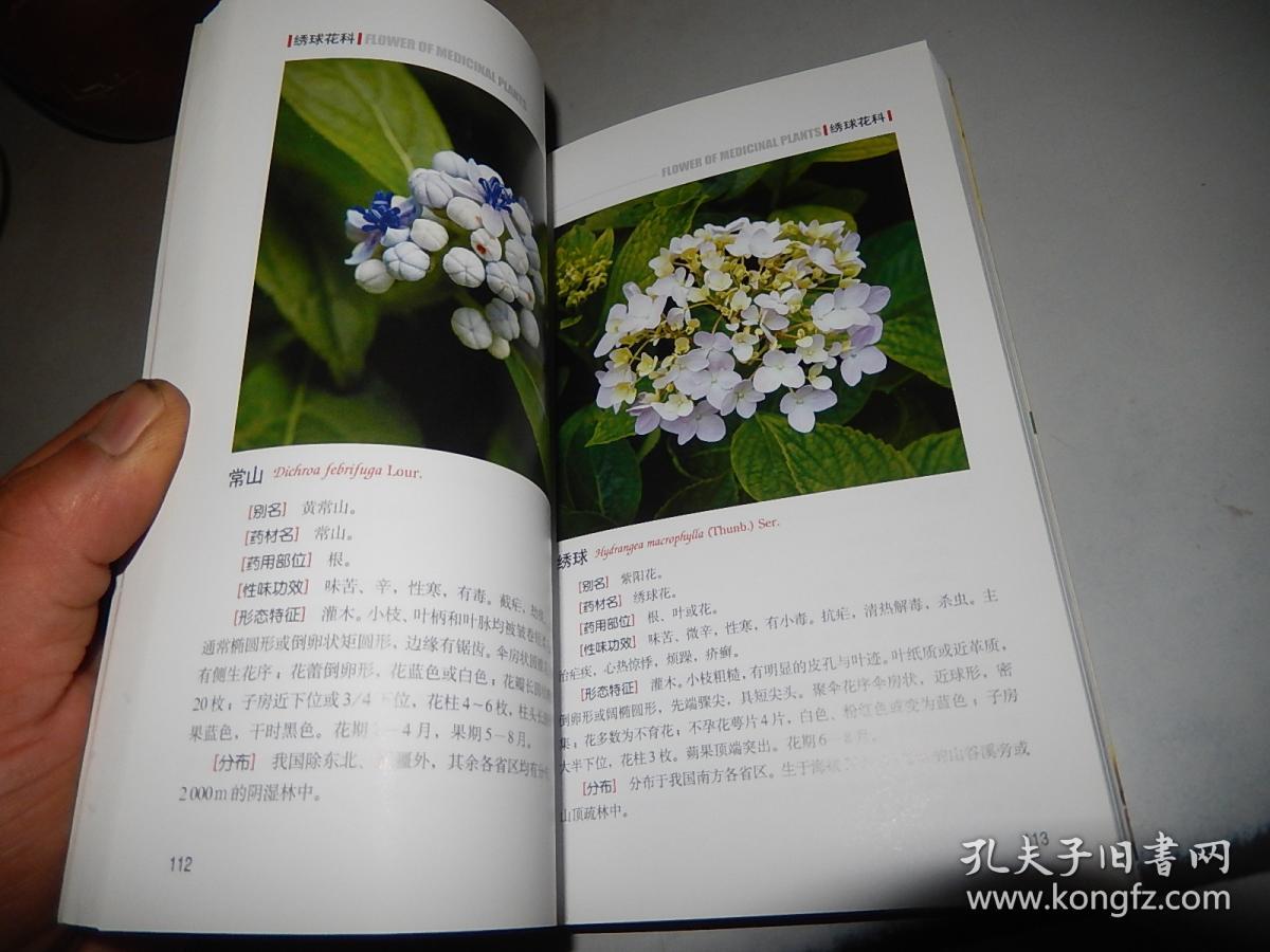 图 药用植物花谱2 幽呦书馆