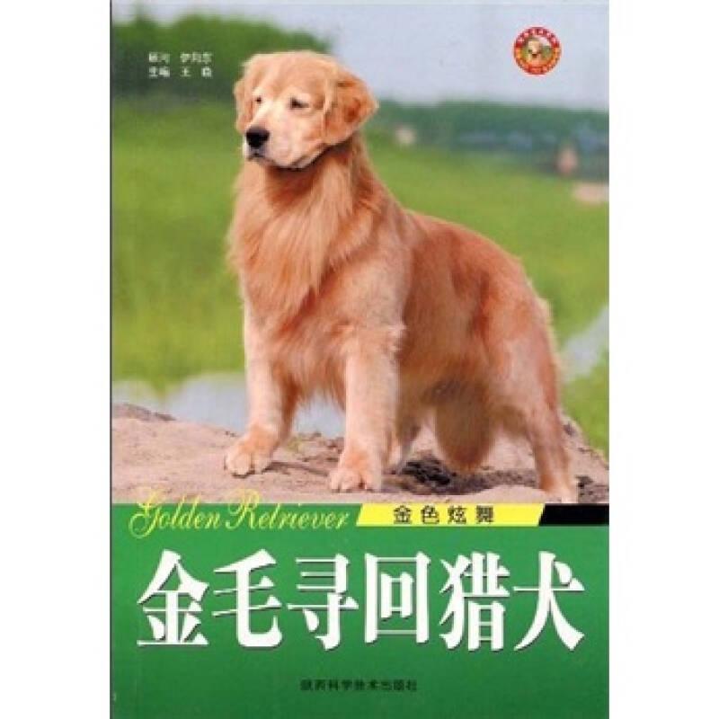 金色炫舞：金毛寻回猎犬