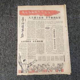 《贵州青年报》1958年11月19日   第227期