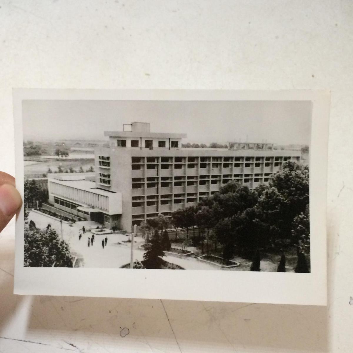 1982年新华社老照片：我国第一个现代化农业测试中心在武汉建成 1 背面有说明 地点： 湖北省农业科学院测试中心