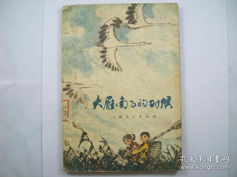 大雁南飞的时候