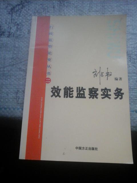 行政检察论要丛书 二 效能监察务实