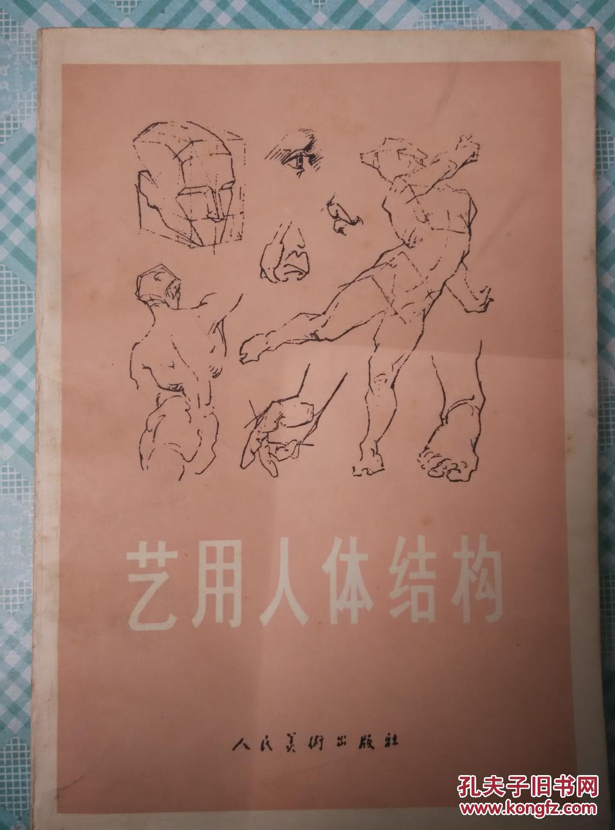 艺用人体结构