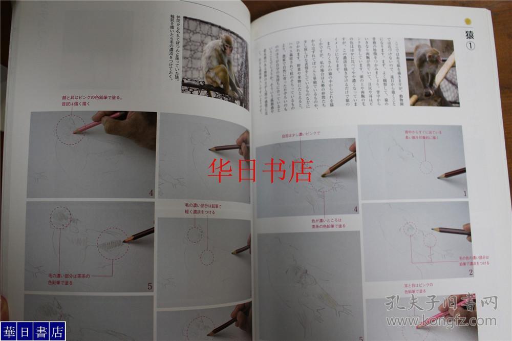 国内现货竹内浩一的日本画入门画动物大16开111页品好包邮