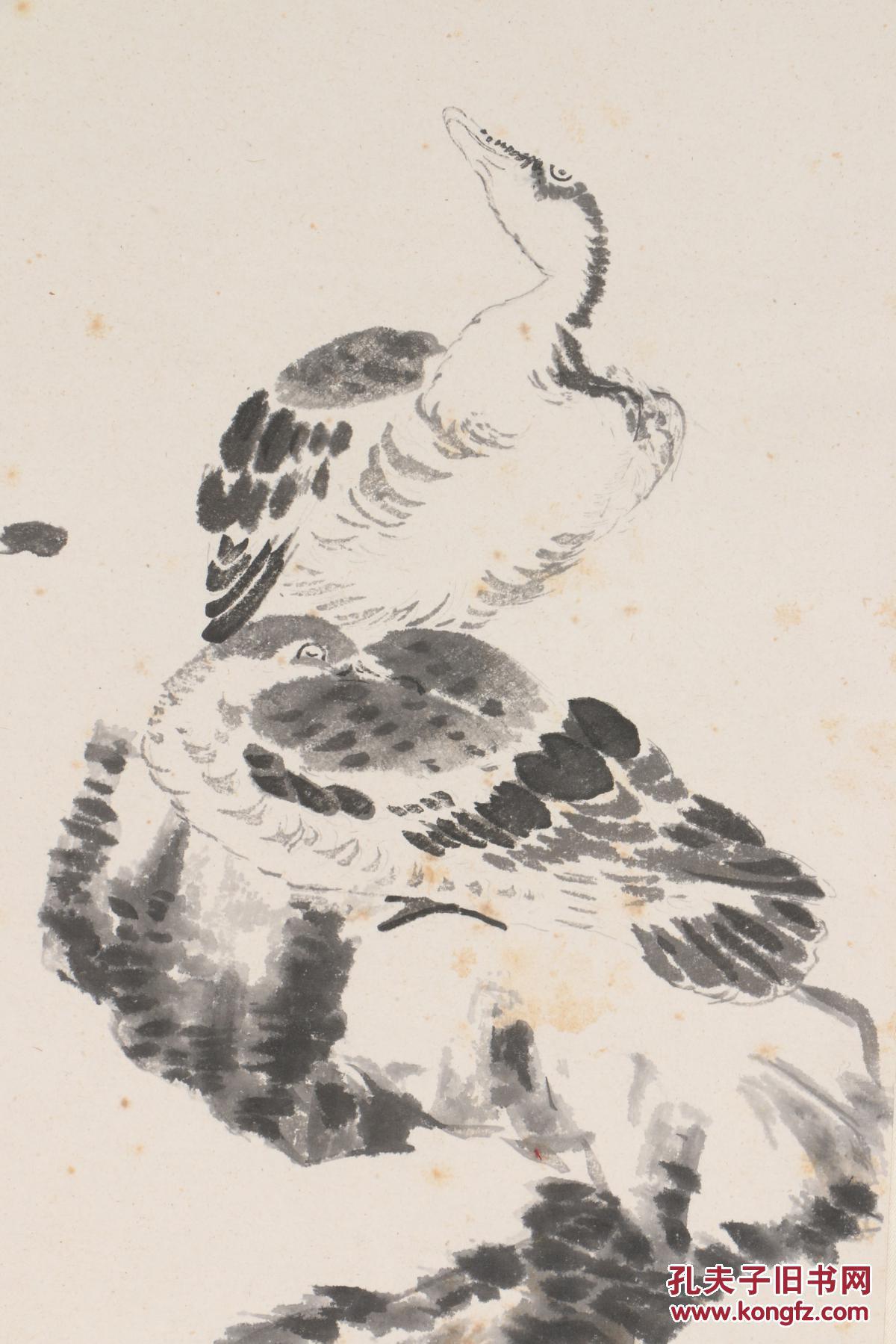 八大山人 绘 芦雁图