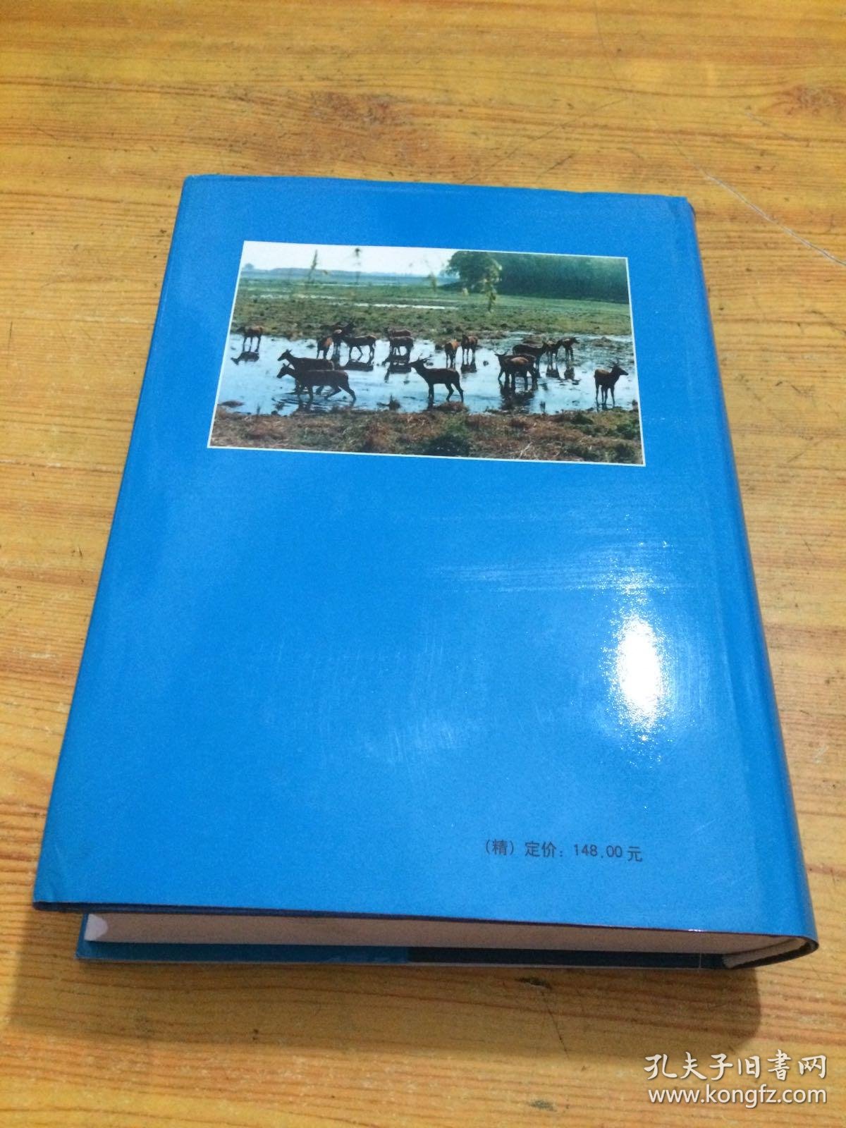 大兴县志布面精装一版一印