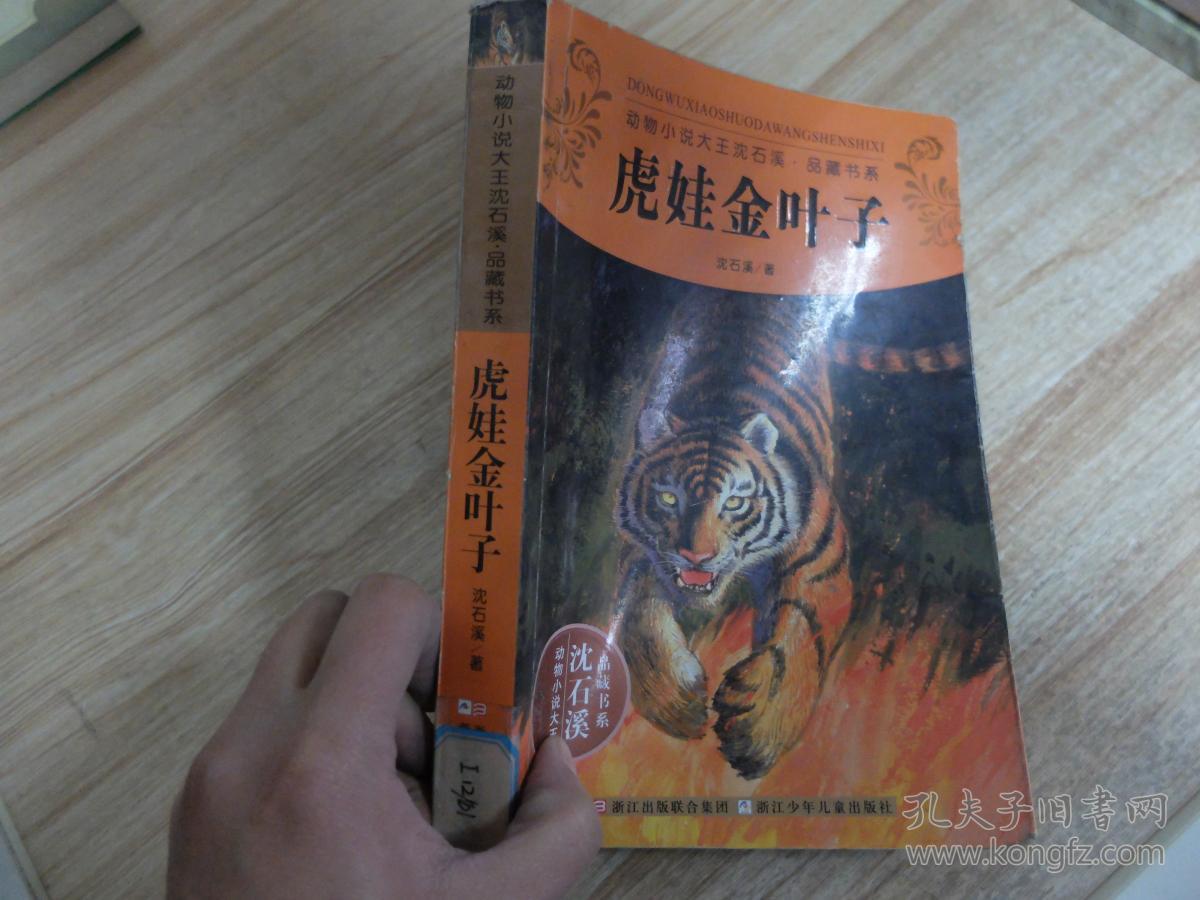 动物小说大王沈石溪品藏书系:虎娃金叶子