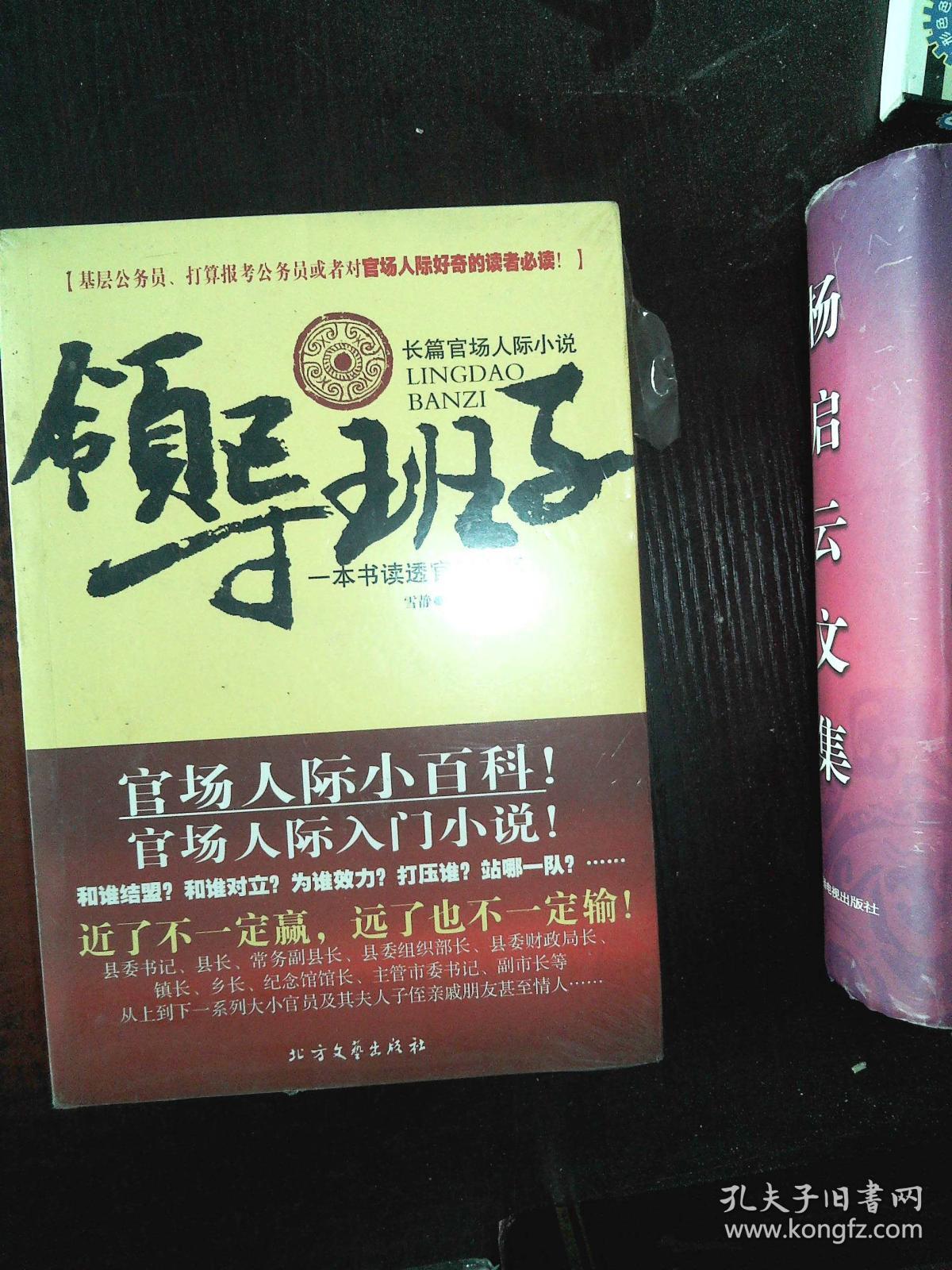 领导小说 孔夫子旧书网