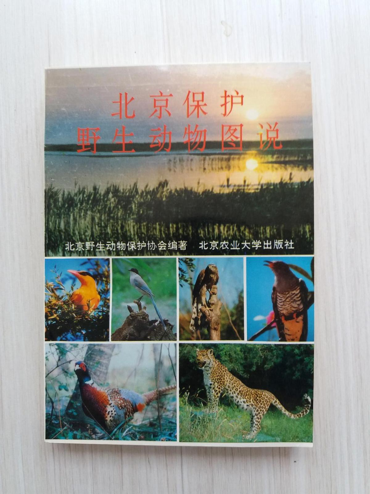 北京保护野生动物图说