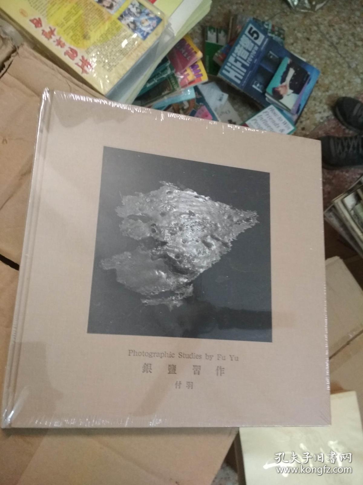 银盐习作(付羽摄影作品集)
