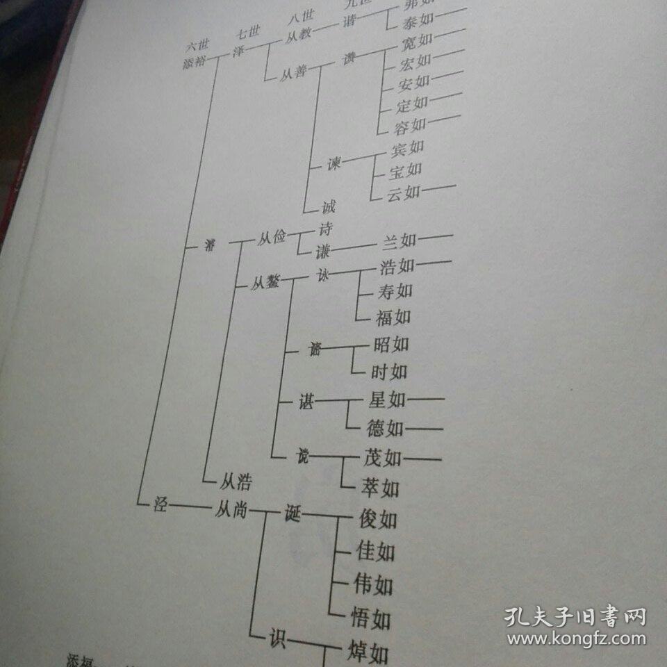 庐江堂 何氏族谱 卷三