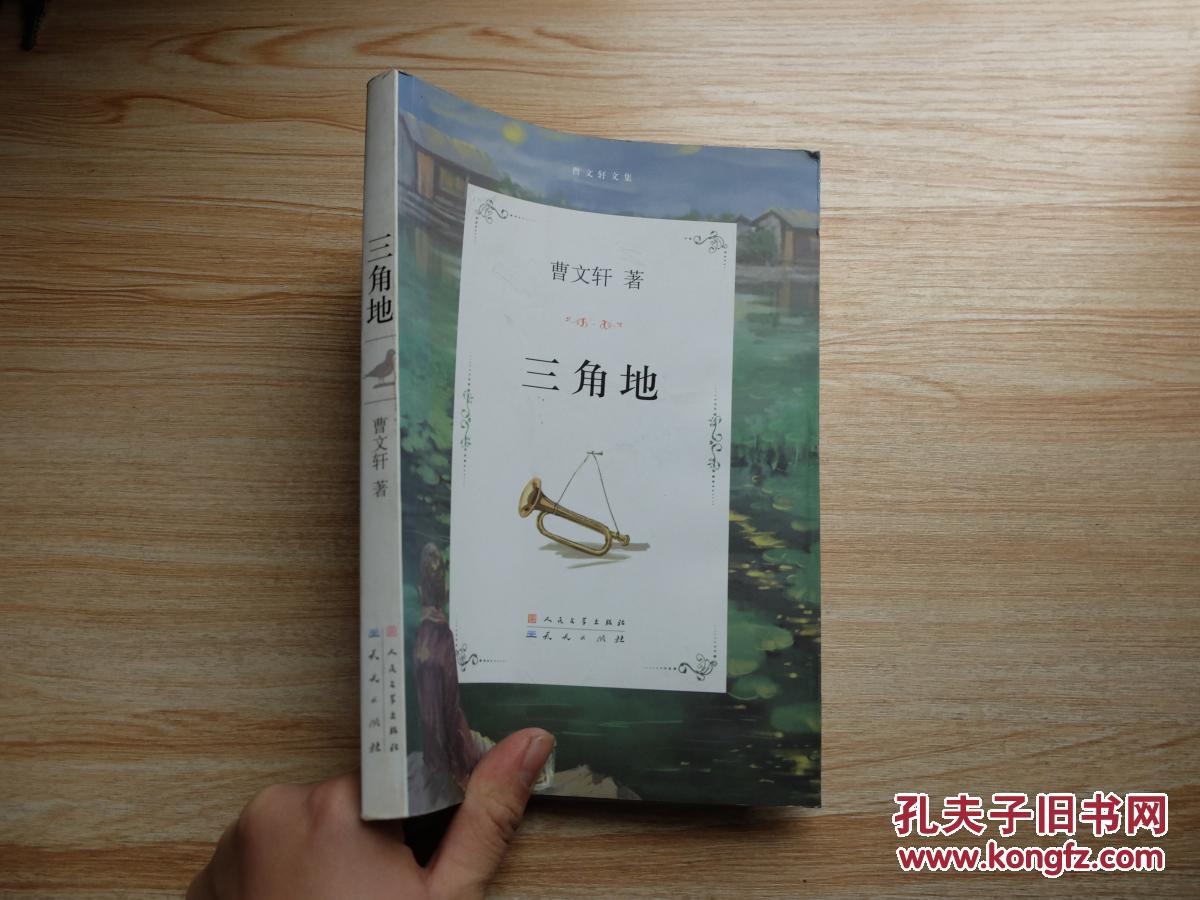曹文轩文集:三角地